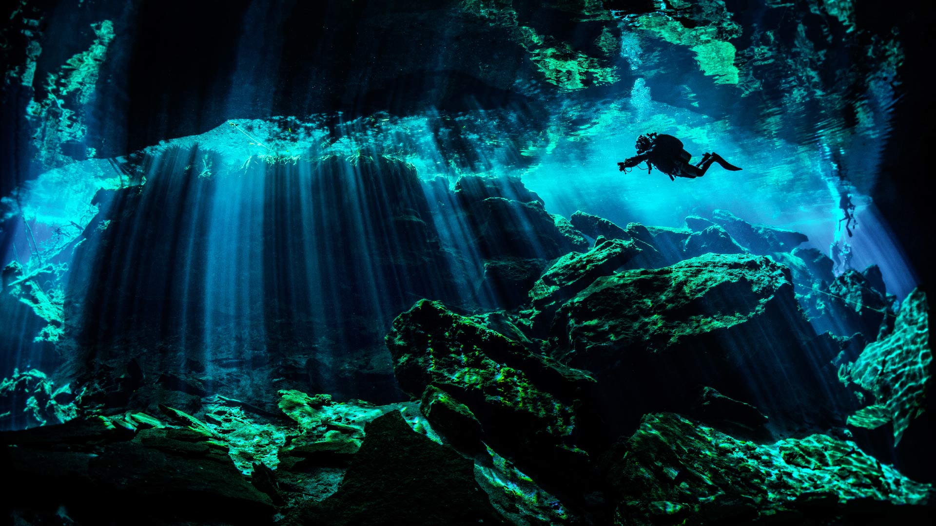 Tour Cenotes from Cancun