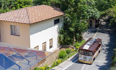 Arrive in Style - Garza Blanca’s Trolleybus