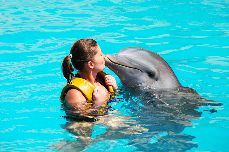 Swim with Wild Dolphins in Puerto Vallarta