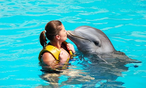 Swim with Wild Dolphins in Puerto Vallarta