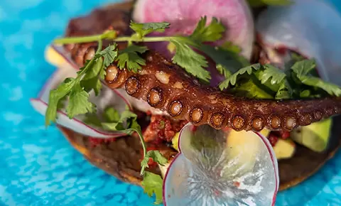 Poolside Snack Bar