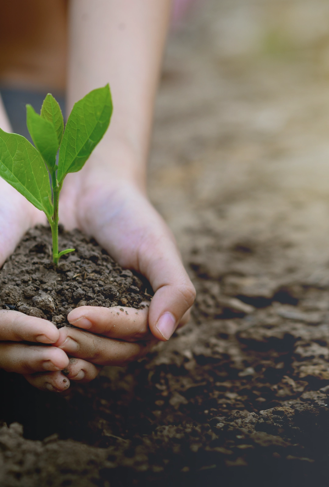 Sustainability